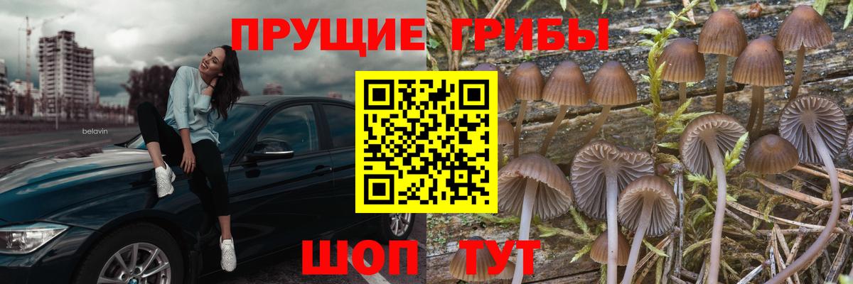 Павловский Посад  Галлюциногенные грибы прущие грибы  Галлюциногенные грибы мицелий  Вход с VPN 