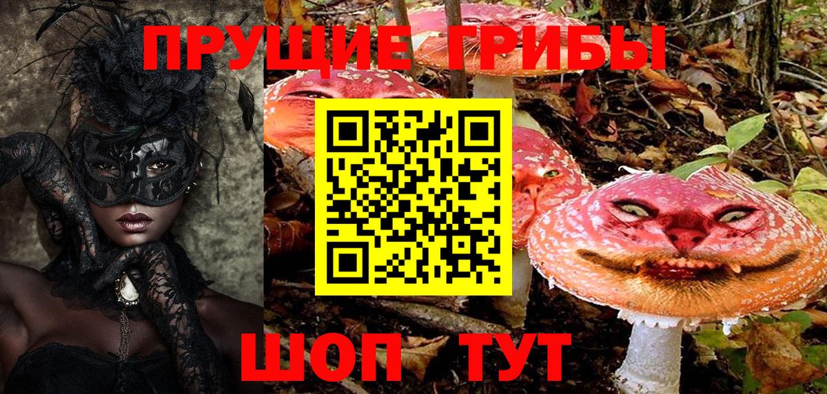 Галлюциногенные грибы Psilocybine cubensis Павловский Посад